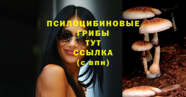 Альфа ПВП Беломорск