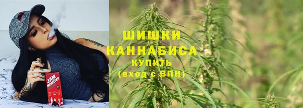 таблы Богородск