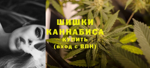 Альфа ПВП Беломорск