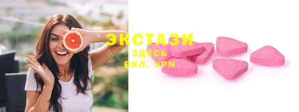 крисы Богородицк