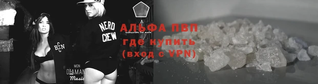 Альфа ПВП Белокуриха