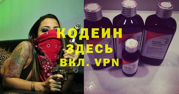 крисы Богородицк
